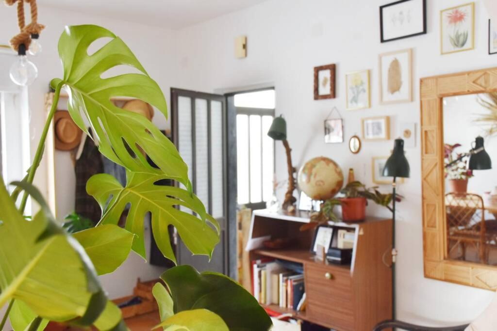 Apartmán Bamboo House Aljezur Exteriér fotografie