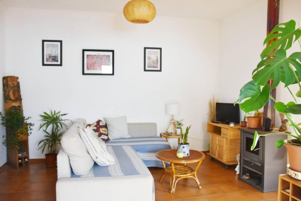 Apartmán Bamboo House Aljezur Exteriér fotografie