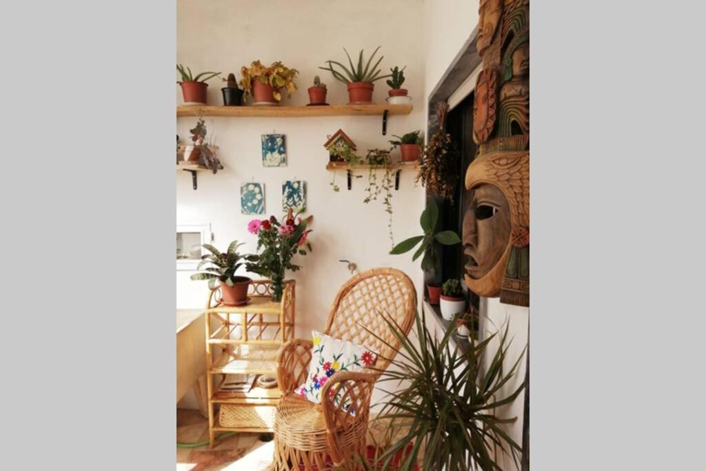 Apartmán Bamboo House Aljezur Exteriér fotografie